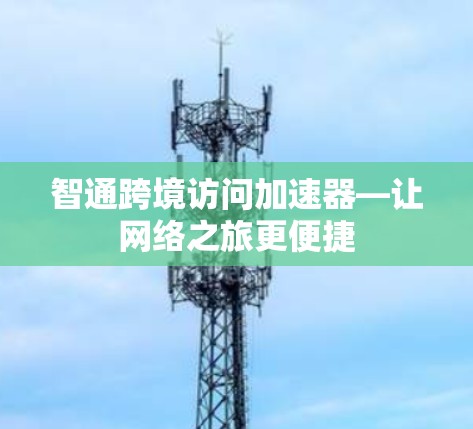 智通跨境访问加速器—让网络之旅更便捷