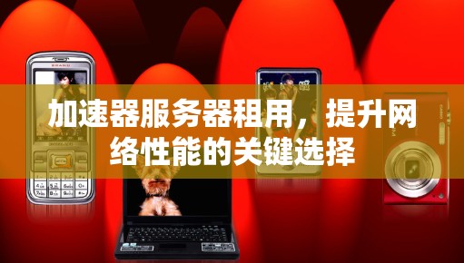 加速器服务器租用，提升网络性能的关键选择