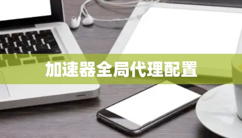 加速器全局代理配置