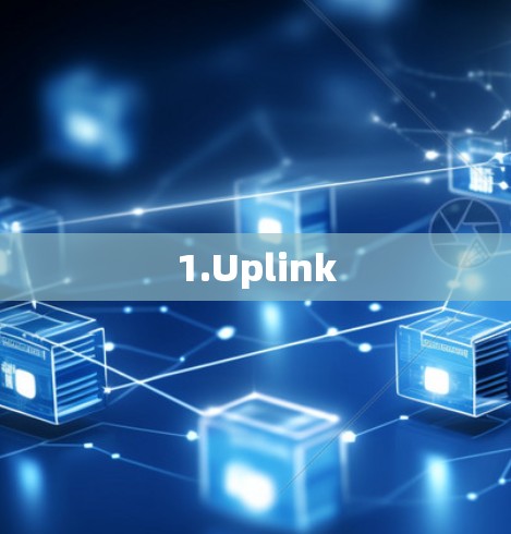 1.Uplink 1.Uplink