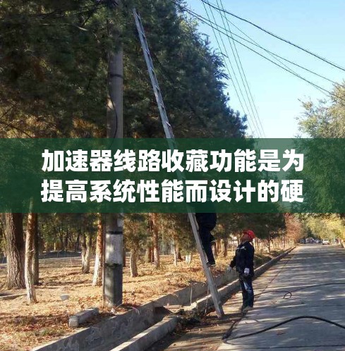 加速器线路收藏功能是为提高系统性能而设计的硬件管理工具，以下是关于该功能的详细信息