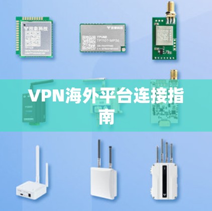 VPN海外平台连接指南