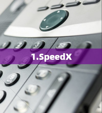 1.SpeedX