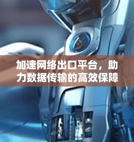 加速网络出口平台，助力数据传输的高效保障