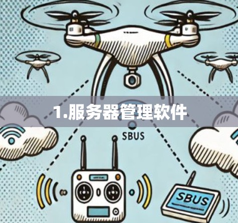 1.服务器管理软件