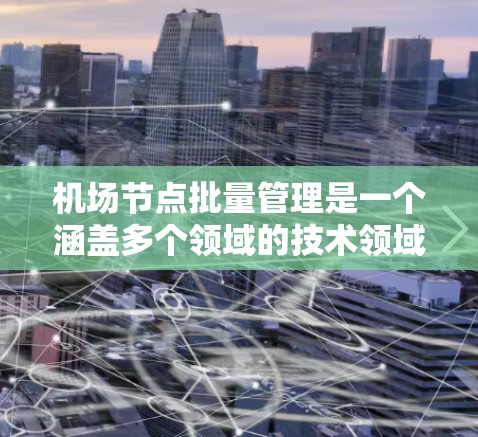 机场节点批量管理是一个涵盖多个领域的技术领域，涉及管理多个设施，以提高效率和减少冲突。以下是对该领域的详细总结