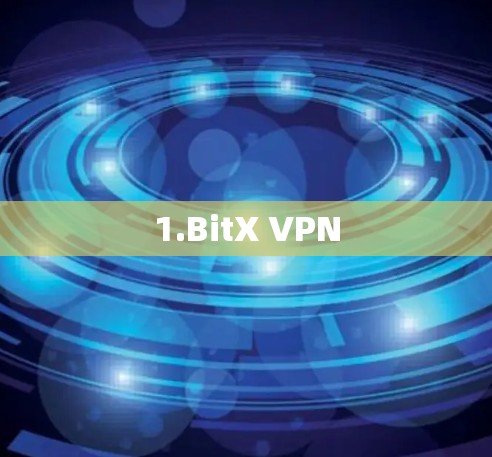 1.BitX VPN