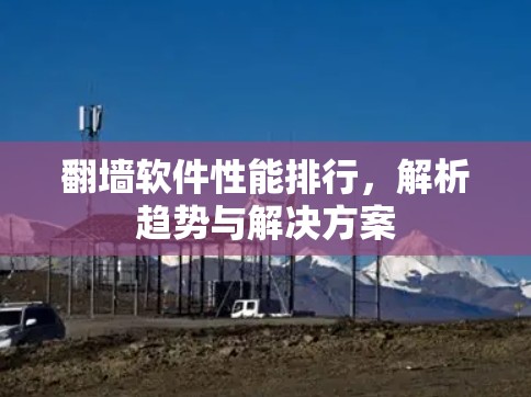翻墙软件性能排行，解析趋势与解决方案