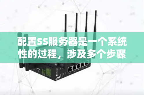 配置SS服务器是一个系统性的过程，涉及多个步骤，确保服务器运行高效且数据安全。以下是一个详细的配置指南，帮助您一步步完成SS服务器的配置