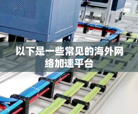 以下是一些常见的海外网络加速平台