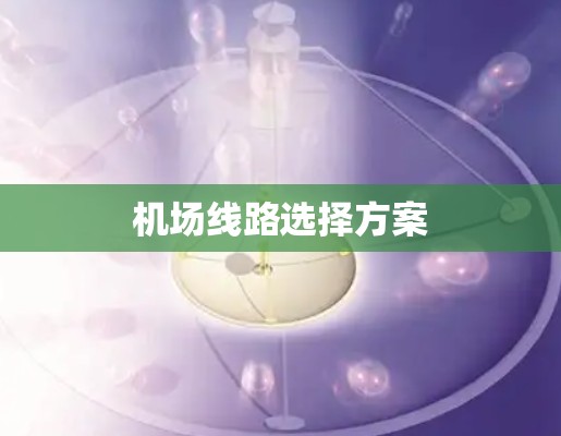 机场线路选择方案