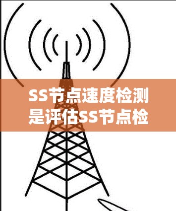 SS节点速度检测是评估SS节点检测系统效率和准确性的重要手段，具体步骤如下