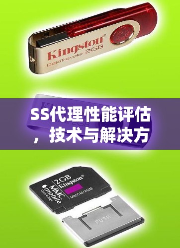 SS代理性能评估，技术与解决方案