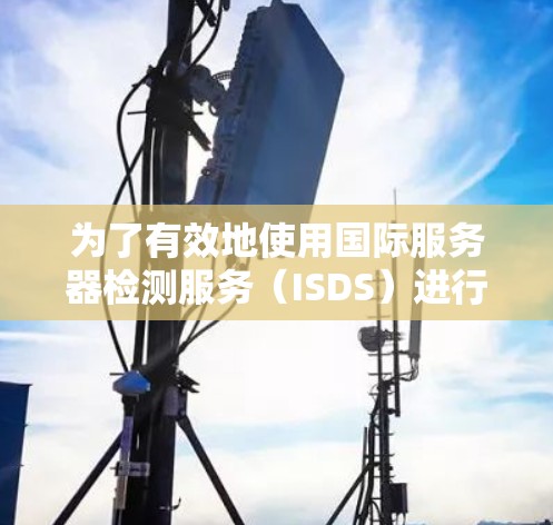 为了有效地使用国际服务器检测服务（ISDS）进行测试，您可以按照以下步骤进行