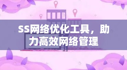 SS网络优化工具，助力高效网络管理