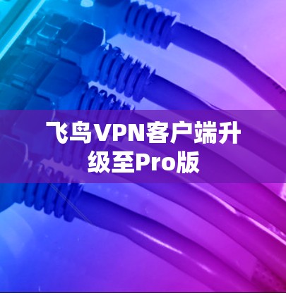 飞鸟VPN客户端升级至Pro版