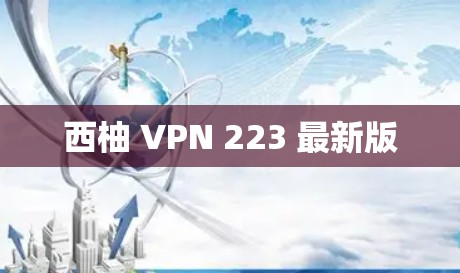 西柚 VPN 223 最新版