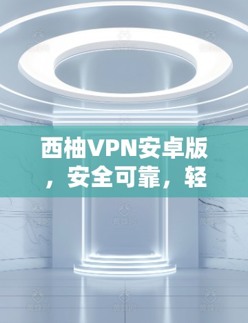 西柚VPN安卓版，安全可靠，轻松畅用