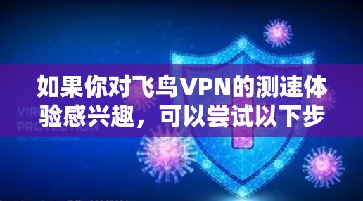 如果你对飞鸟VPN的测速体验感兴趣，可以尝试以下步骤