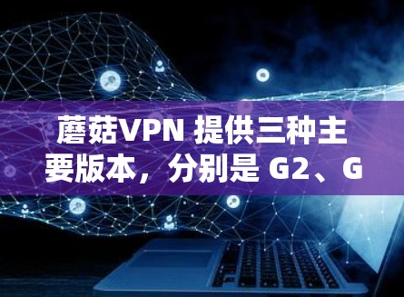 蘑菇VPN 提供三种主要版本，分别是 G2、G3 和 G4。每版本都有其特定的功能和性能特点，适合不同的用户需求