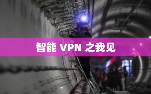 智能 VPN 之我见