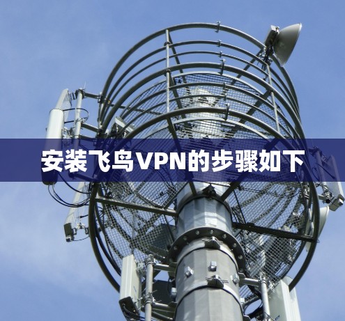 安装飞鸟VPN的步骤如下