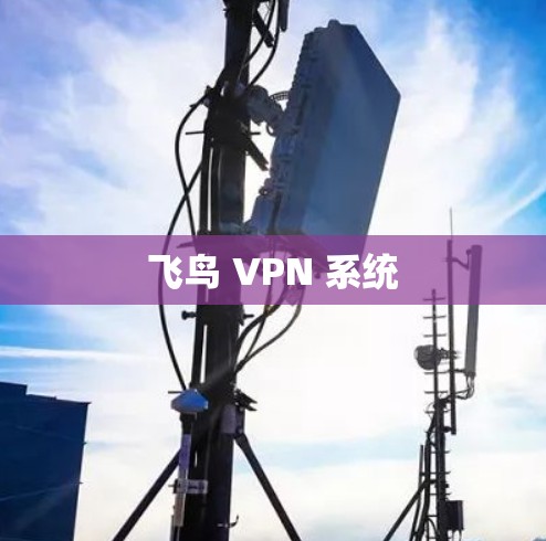飞鸟 VPN 系统
