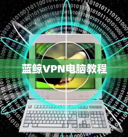 蓝鲸VPN电脑教程