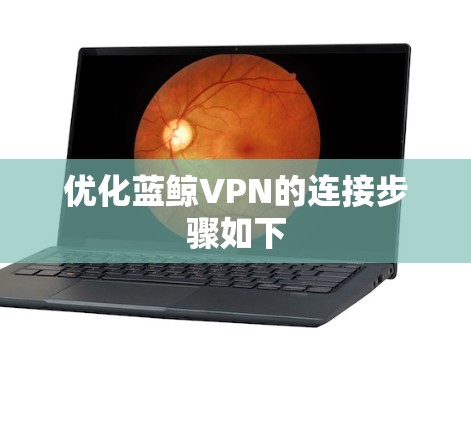 优化蓝鲸VPN的连接步骤如下