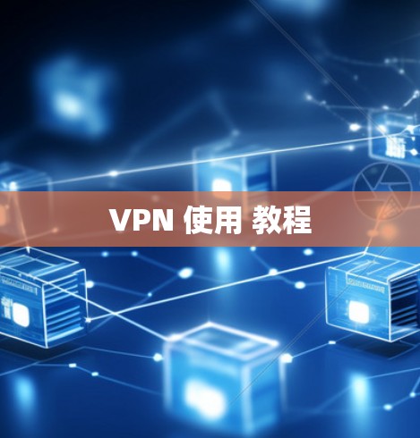 VPN 使用 教程