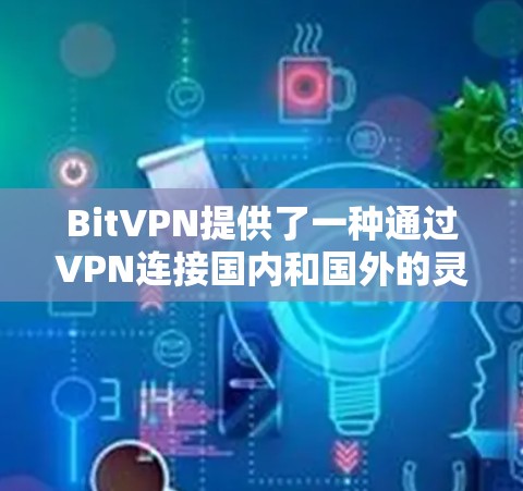 BitVPN提供了一种通过VPN连接国内和国外的灵活服务，帮助用户减少VPN费用并扩展其网络访问范围。以下是一个全面的 BitVPN 使用指南