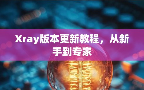 Xray版本更新教程，从新手到专家