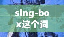 sing-box这个词组在英语中可以有不同的意思，具体含义取决于上下文和用法。以下是几种可能的解释