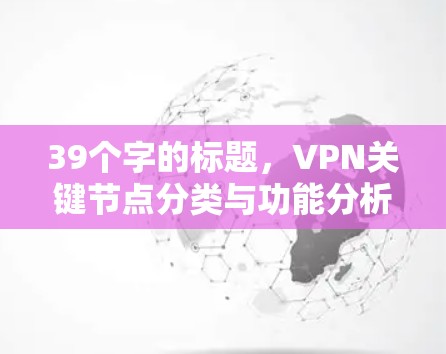39个字的标题，VPN关键节点分类与功能分析