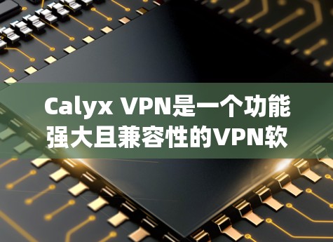Calyx VPN是一个功能强大且兼容性的VPN软件，适合需要复杂配置和高性能的用户。以下是对Calyx VPN性能的详细分析