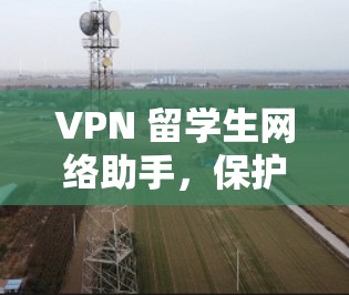 VPN 留学生网络助手，保护隐私与安全的未来解决方案